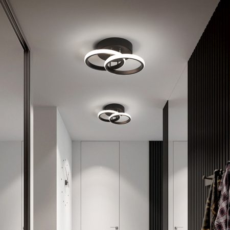 Ceiling Lights